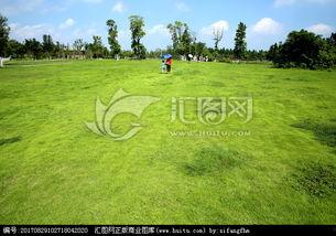 青青青草国产视频